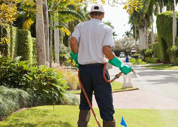 About Poyntelle PA Pest Control